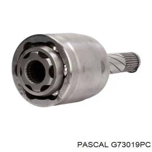 Купить G73019PC Pascal 