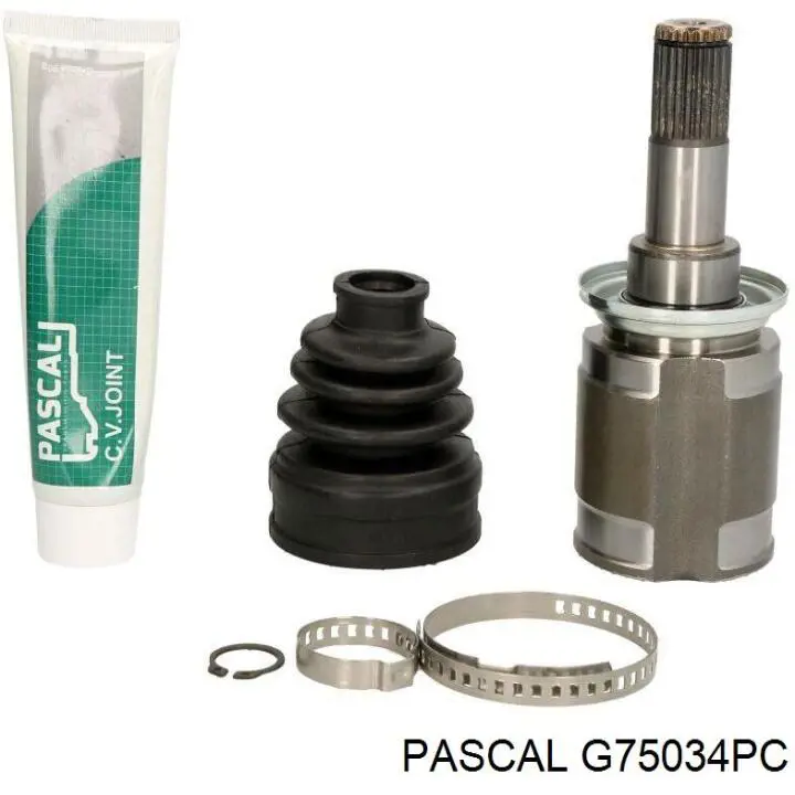 G75034PC Pascal