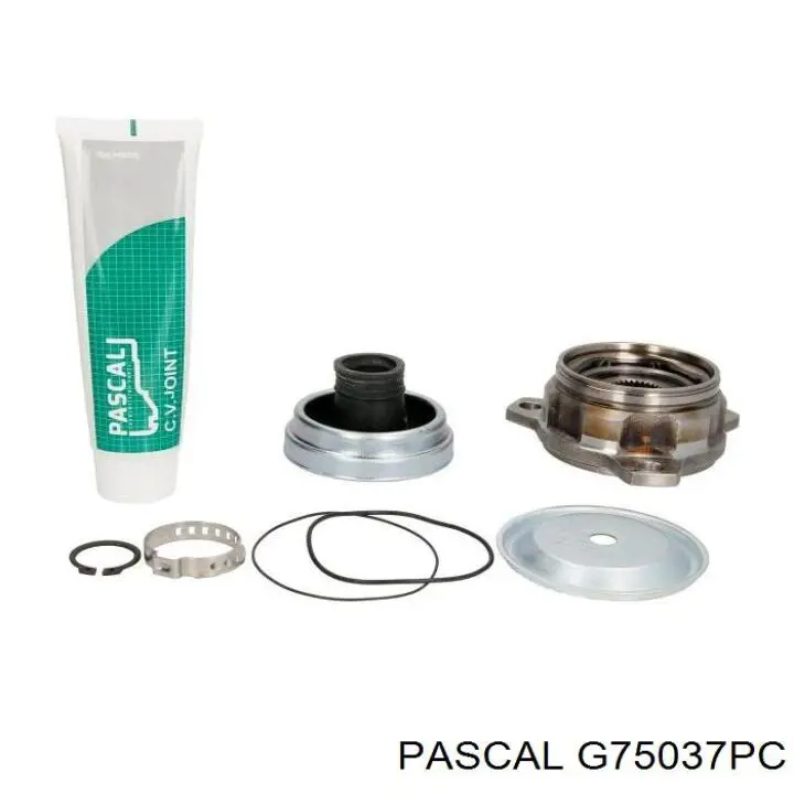  Pascal G75037PC цена, от 28.57 USD