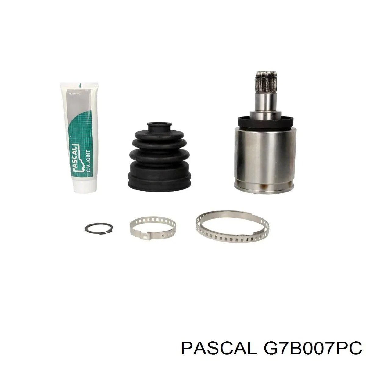  Pascal G7B007PC цена, от 42.99 USD