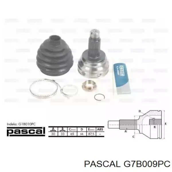  Pascal G7B009PC цена, от 49.66 USD