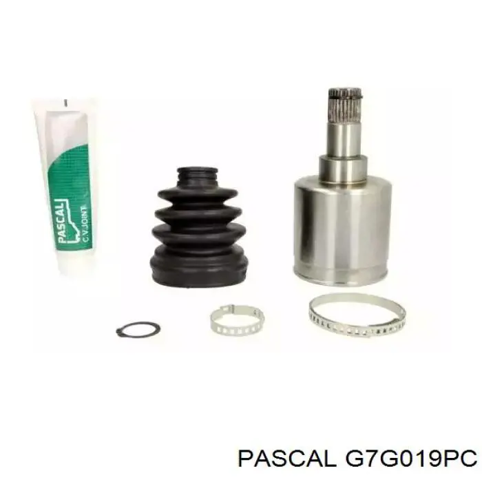 G7G019PC Pascal
