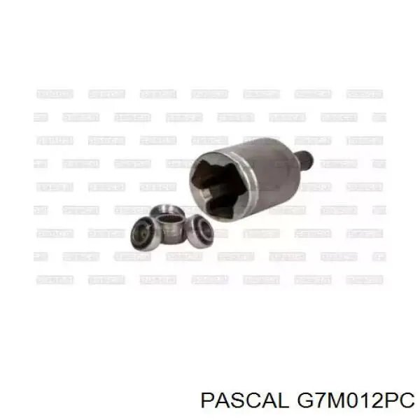  Pascal G7M012PC цена, от 38.93 USD