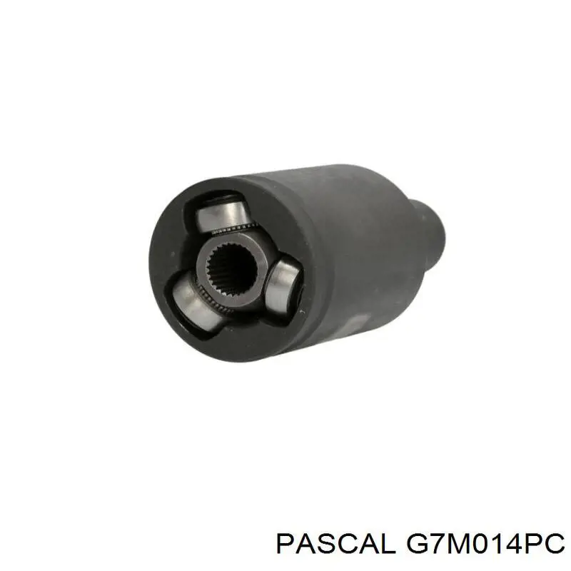 G7M014PC Pascal