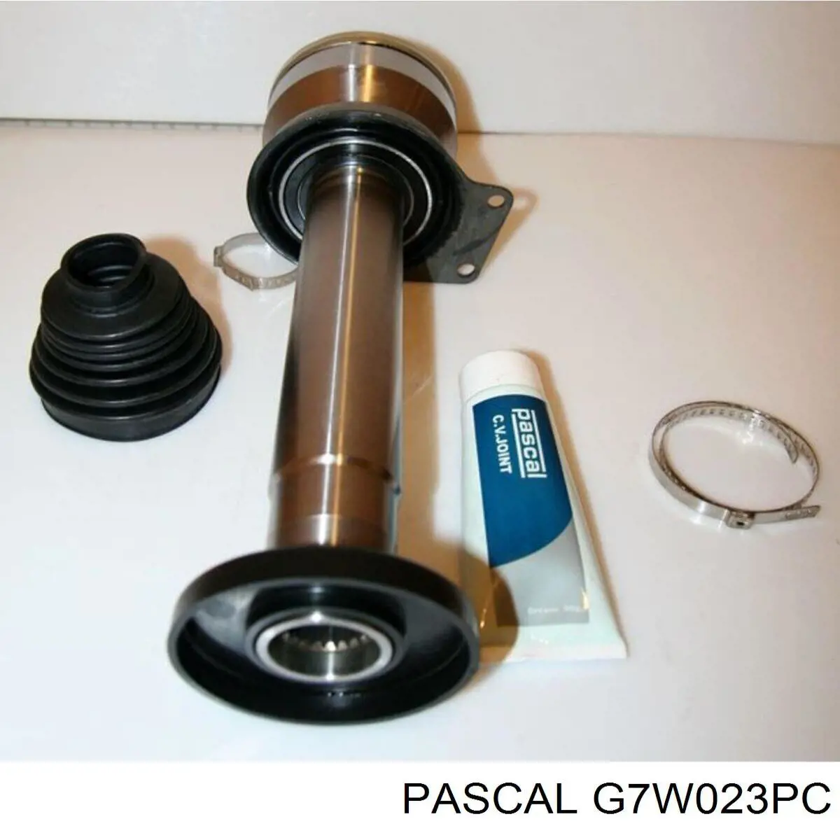 G7W023PC Pascal Граната внутренняя передняя правая