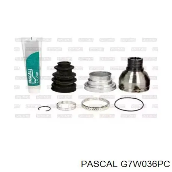 G7W036PC Pascal Граната внутренняя передняя левая