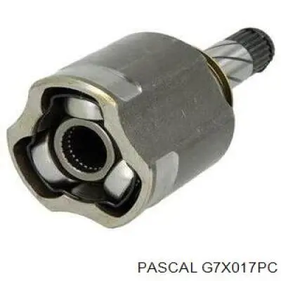 G7X017PC Pascal