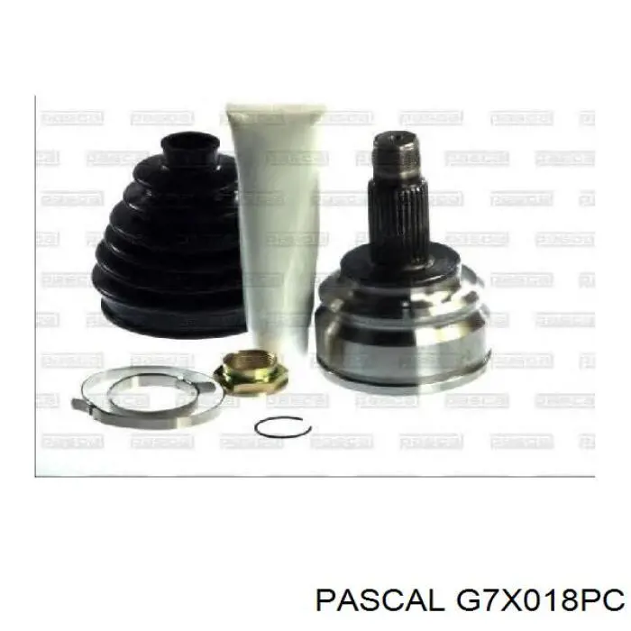 Купить G7X018PC Pascal 