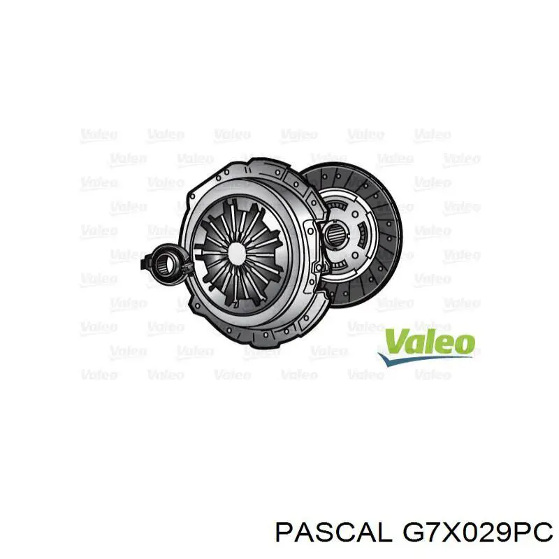 Купить G7X029PC Pascal Шарнир угловых скоростей передний правый