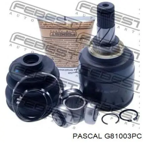 Купить G81003PC Pascal 