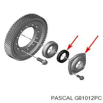 Шарнир привода внутренний Pascal G81012PC цена, от 47.92 USD