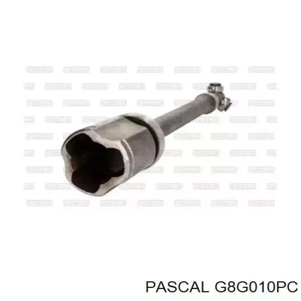 G8G010PC Pascal