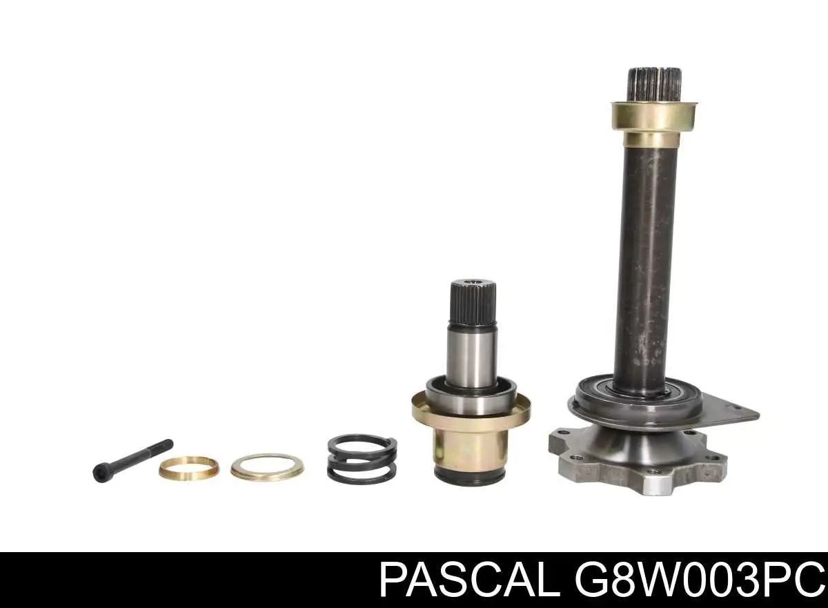  Pascal G8W003PC цена, от 101.04 USD