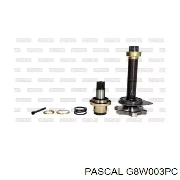  G8W003PC Pascal