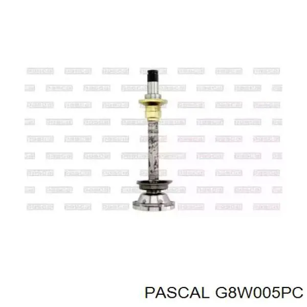 Внутренняя граната Pascal G8W005PC
