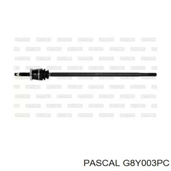 Привод передний правый Pascal G8Y003PC цена, от 59.48 USD