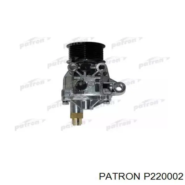 Насос вакуумный P220002 Patron