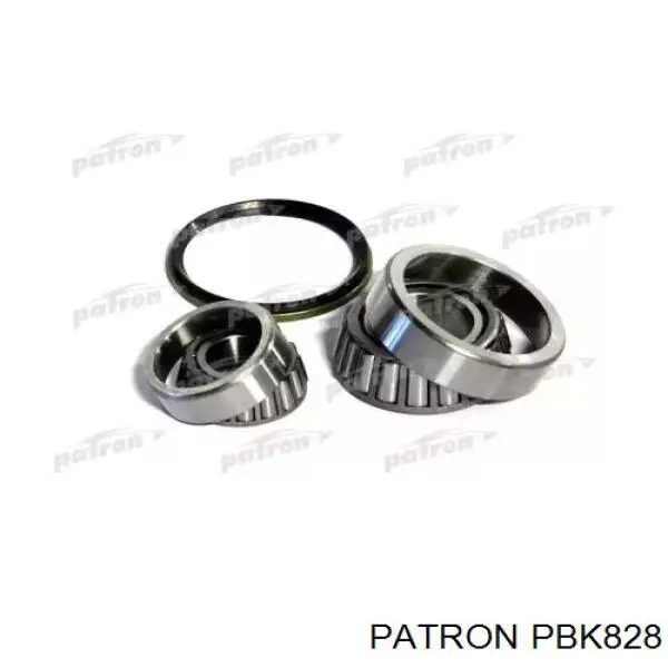 Подшипник задней ступицы PBK828 Patron