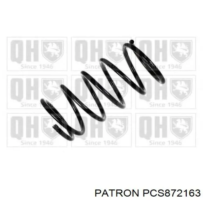 Передняя пружина PCS872163 Patron