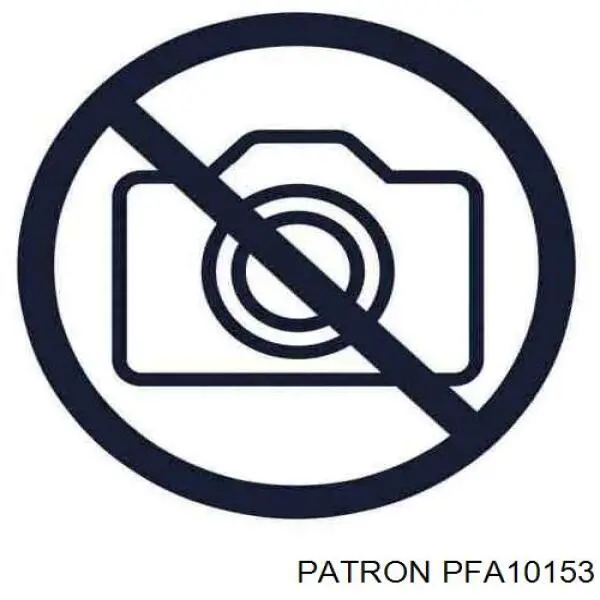 ДМРВ PFA10153 Patron