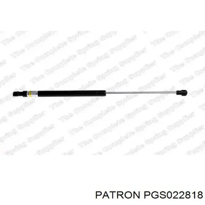 Купить PGS022818 Patron Амортизатор двери багажника