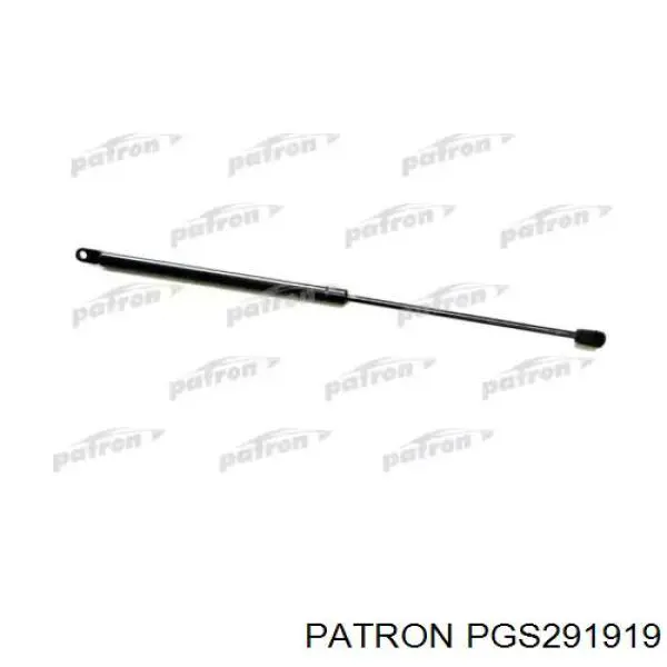 GS0105 Magneti Marelli Амортизатор крышки багажника