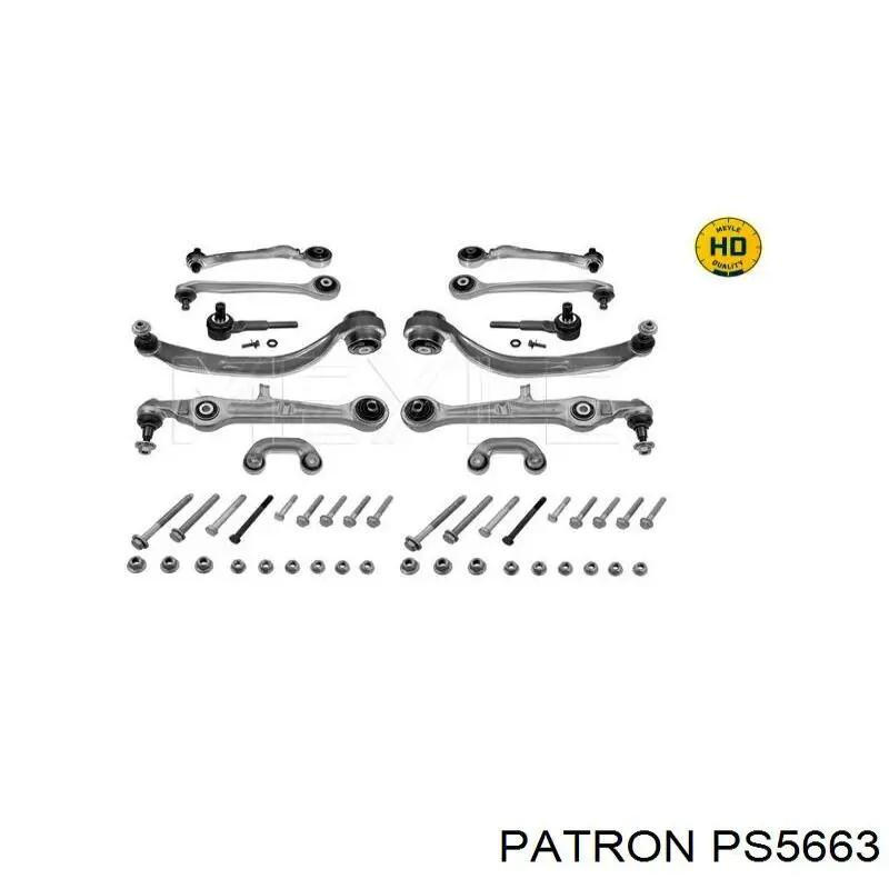 Комплект рычагов передней подвески Patron PS5663 цена, от 273.07 USD