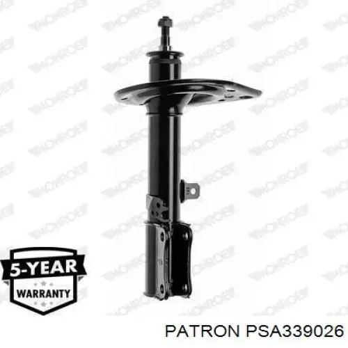 Купить RS317192 Raiso Амортизатор задний, левый