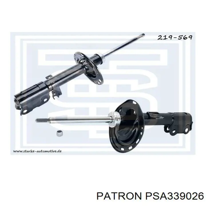 Амортизатор задний левый RS317192 Raiso