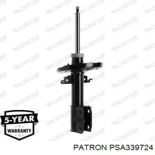 Амортизатор передний 543020063R Renault (RVI)
