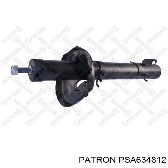 RS315087 Raiso Стойка передняя