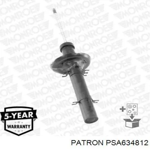 Купить RS315087 Raiso Амортизатор передней подвески