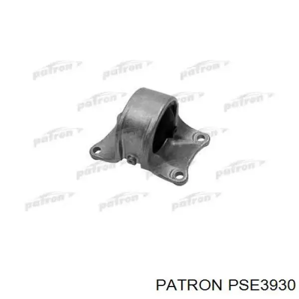  PSE3930 Patron