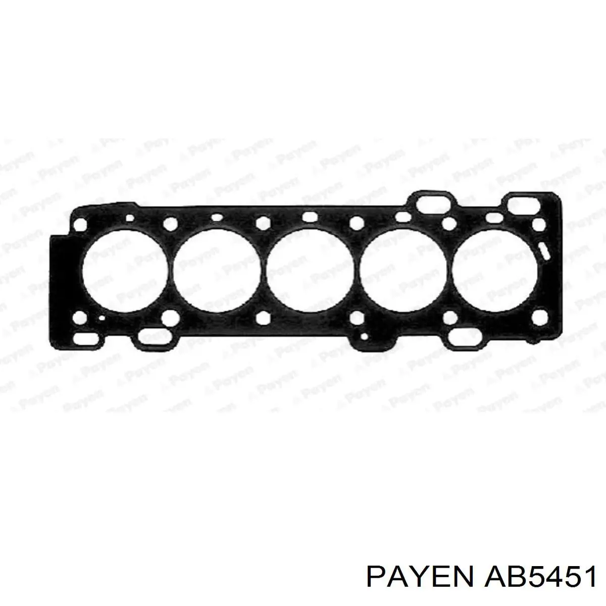 AB5451 Payen vedante de cabeça de motor (cbc)