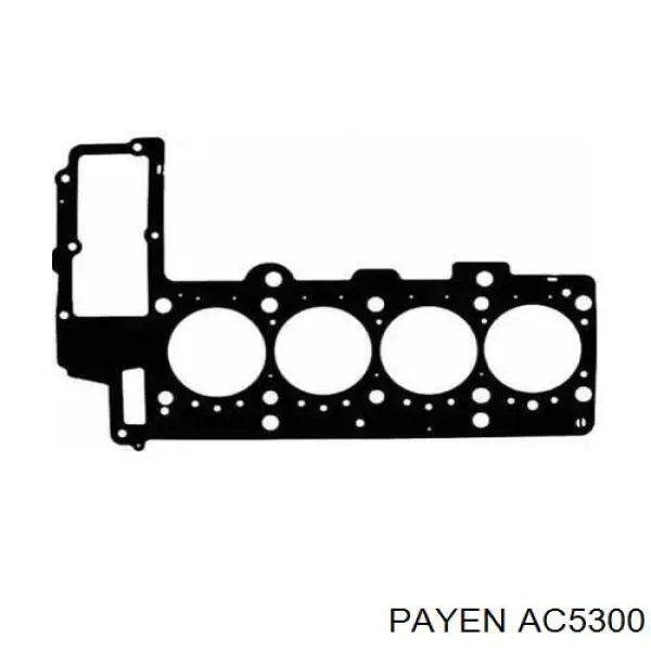 AC5300 Payen прокладка гбц