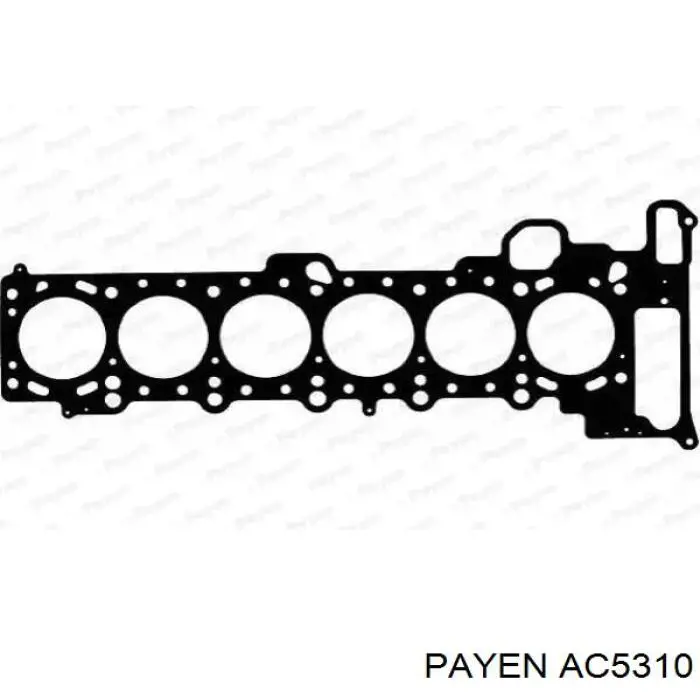 AC5310 Payen прокладка гбц