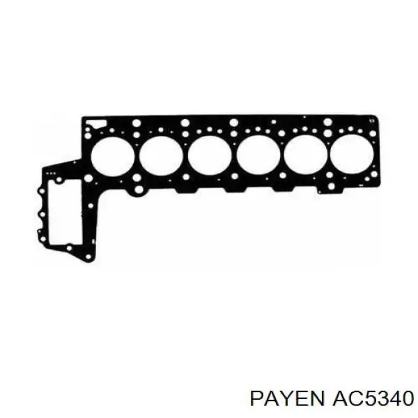 Прокладка головки блока цилиндров (ГБЦ) Payen AC5340