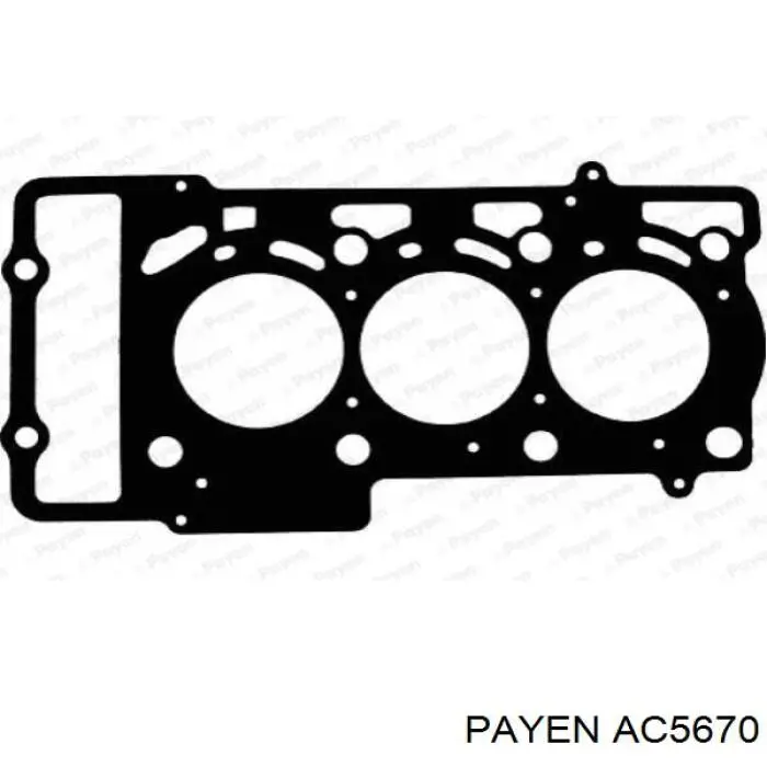 Купить AC5670 Payen Прокладка ГБЦ