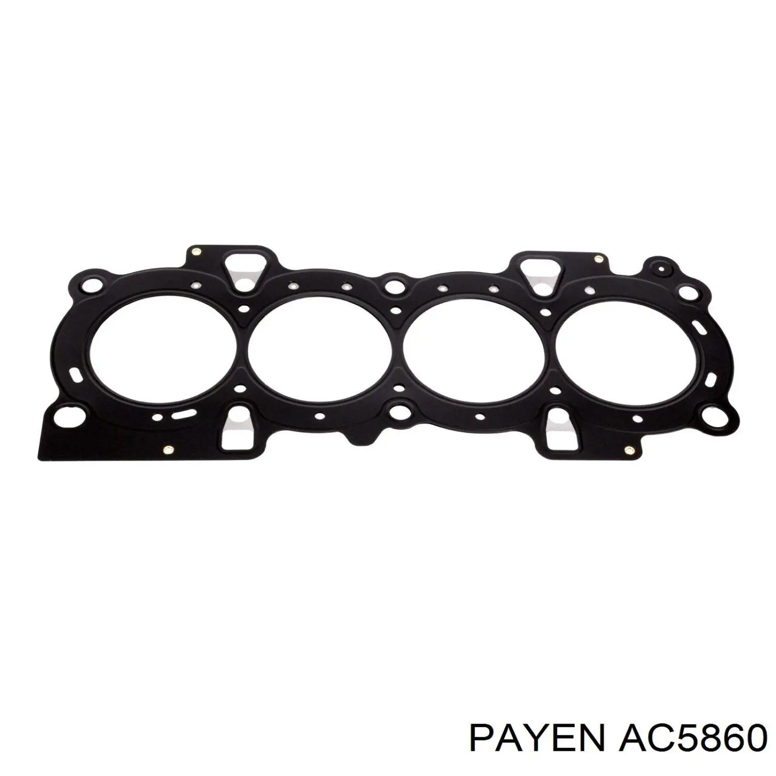 AC5860 Payen