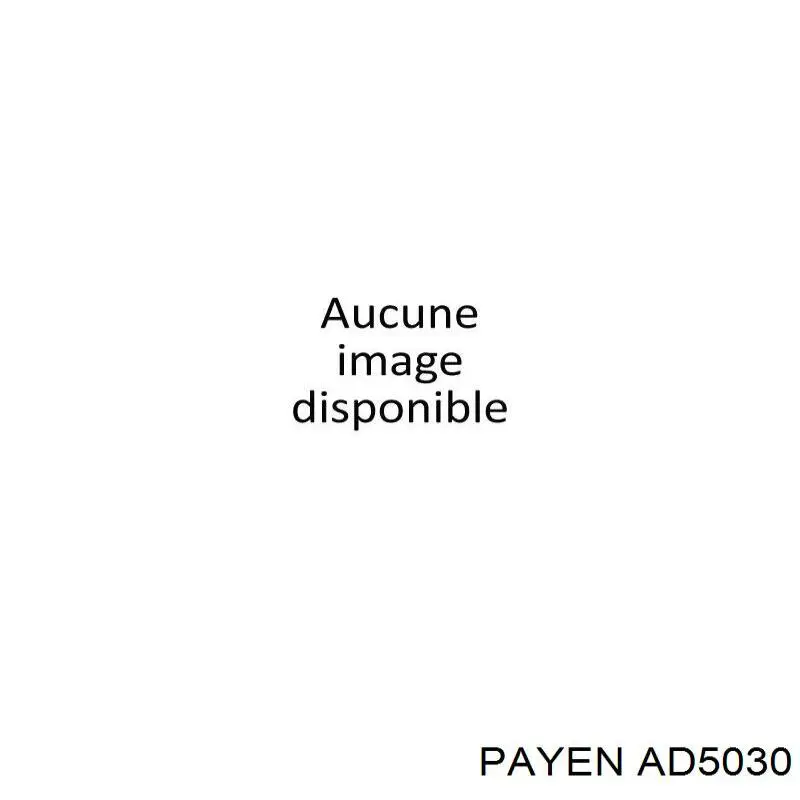 Купить AD5030 Payen Прокладка ГБЦ
