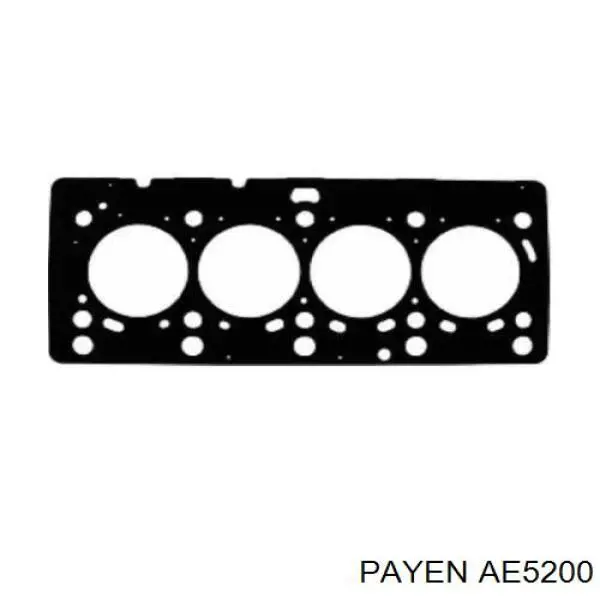 AE5200 Payen