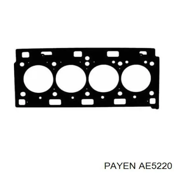 AE5220 Payen