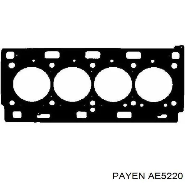Прокладка ГБЦ Payen AE5220 цена, от 38.57 USD
