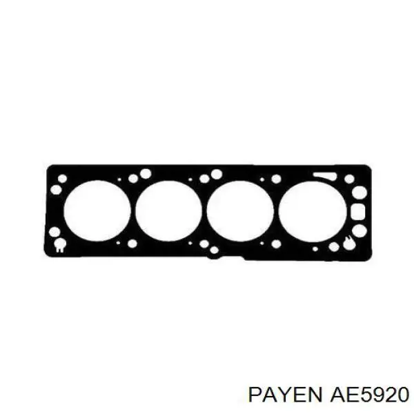 Прокладка головки блока цилиндров Opel 5607463