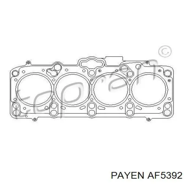 Купить AF5392 Payen Прокладка ГБЦ