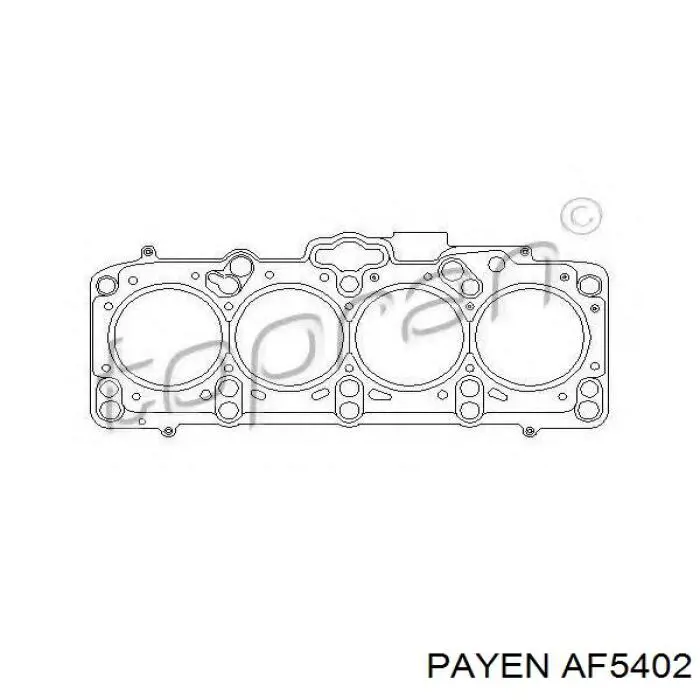 Купить AF5402 Payen Прокладка ГБЦ