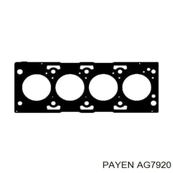 AG7920 Payen прокладка гбц