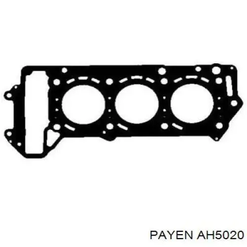 AH5020 Payen прокладка головки блока цилиндров (гбц правая)