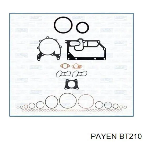 Прокладка головки блока цилиндров (ГБЦ) Payen BT210