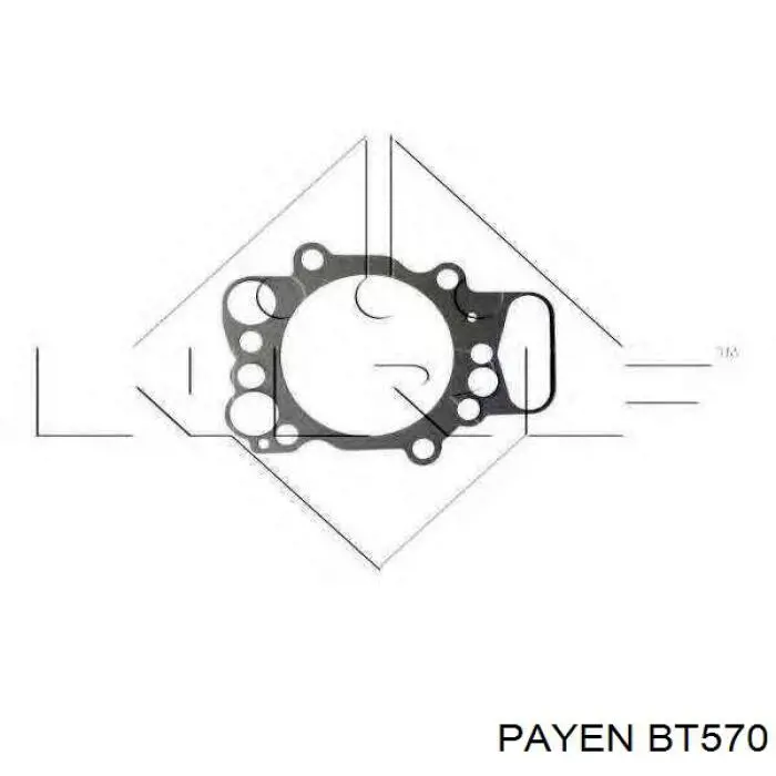 BT570 Payen Прокладка головки блока